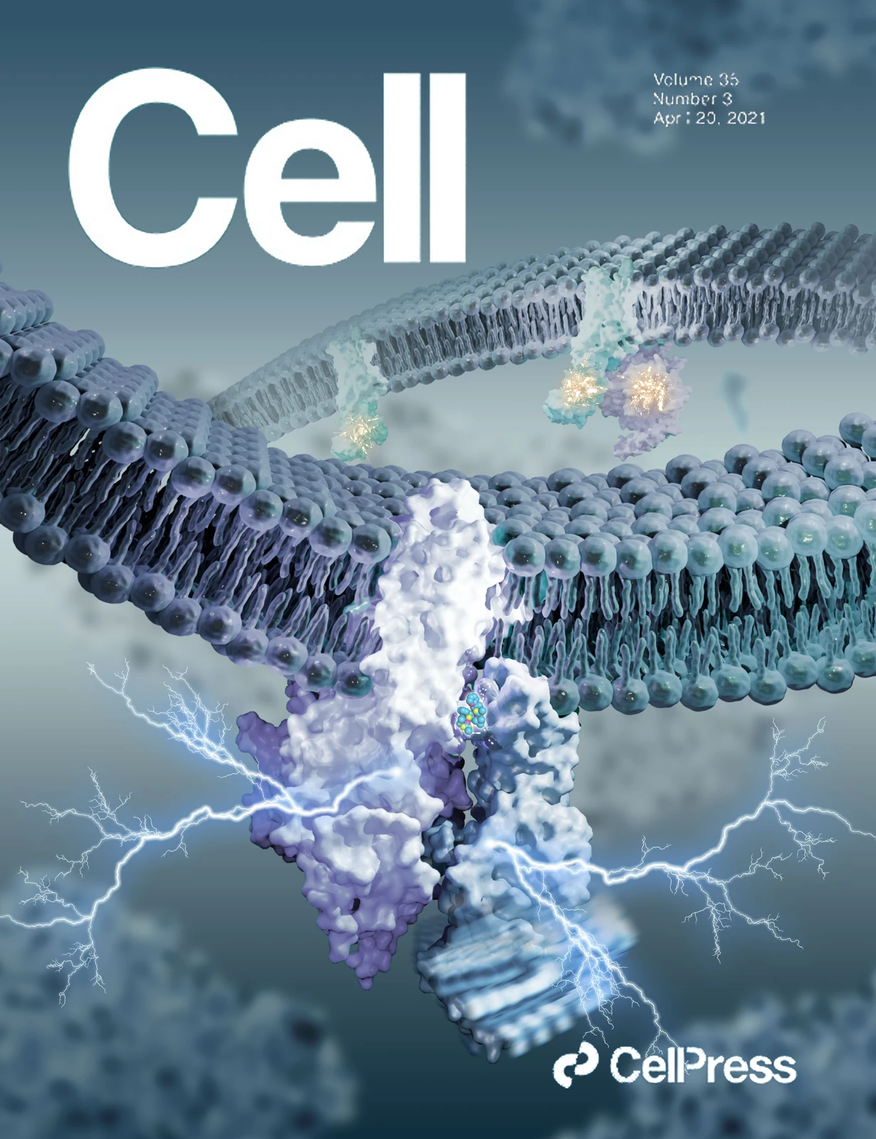 Cell microstructure journal cover