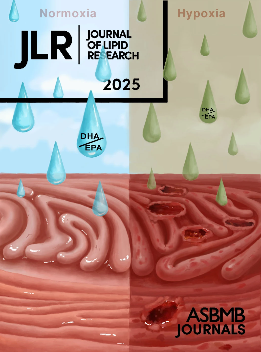 Gastric mucosa medical journal cover