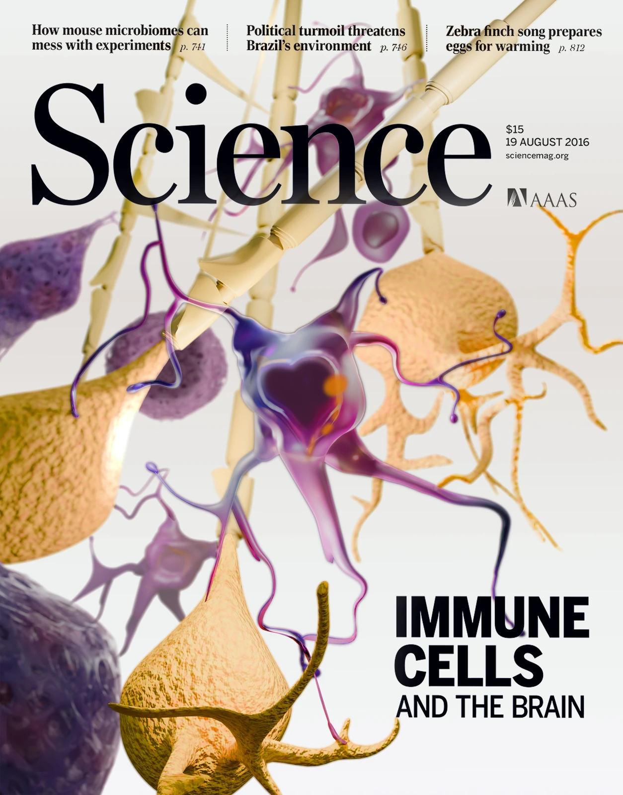 Immune cell visualization journal cover