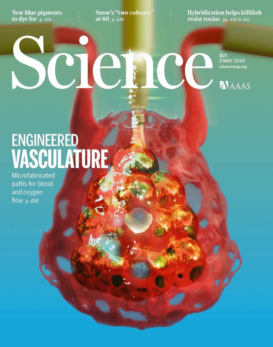 Vascular medicine journal cover