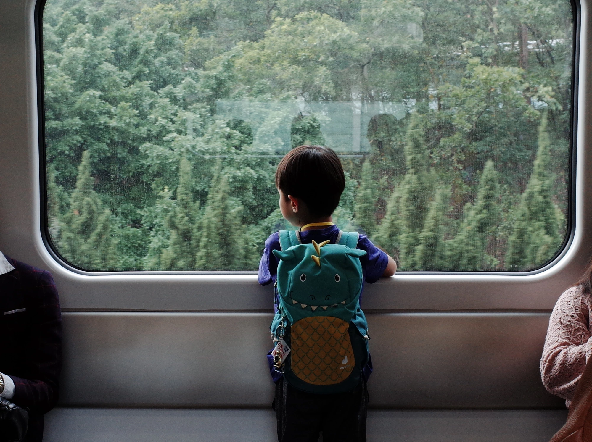 Child looking through a train window