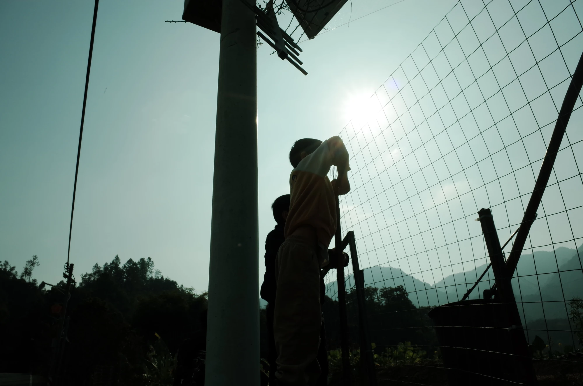 Figure silhouetted beside a fence