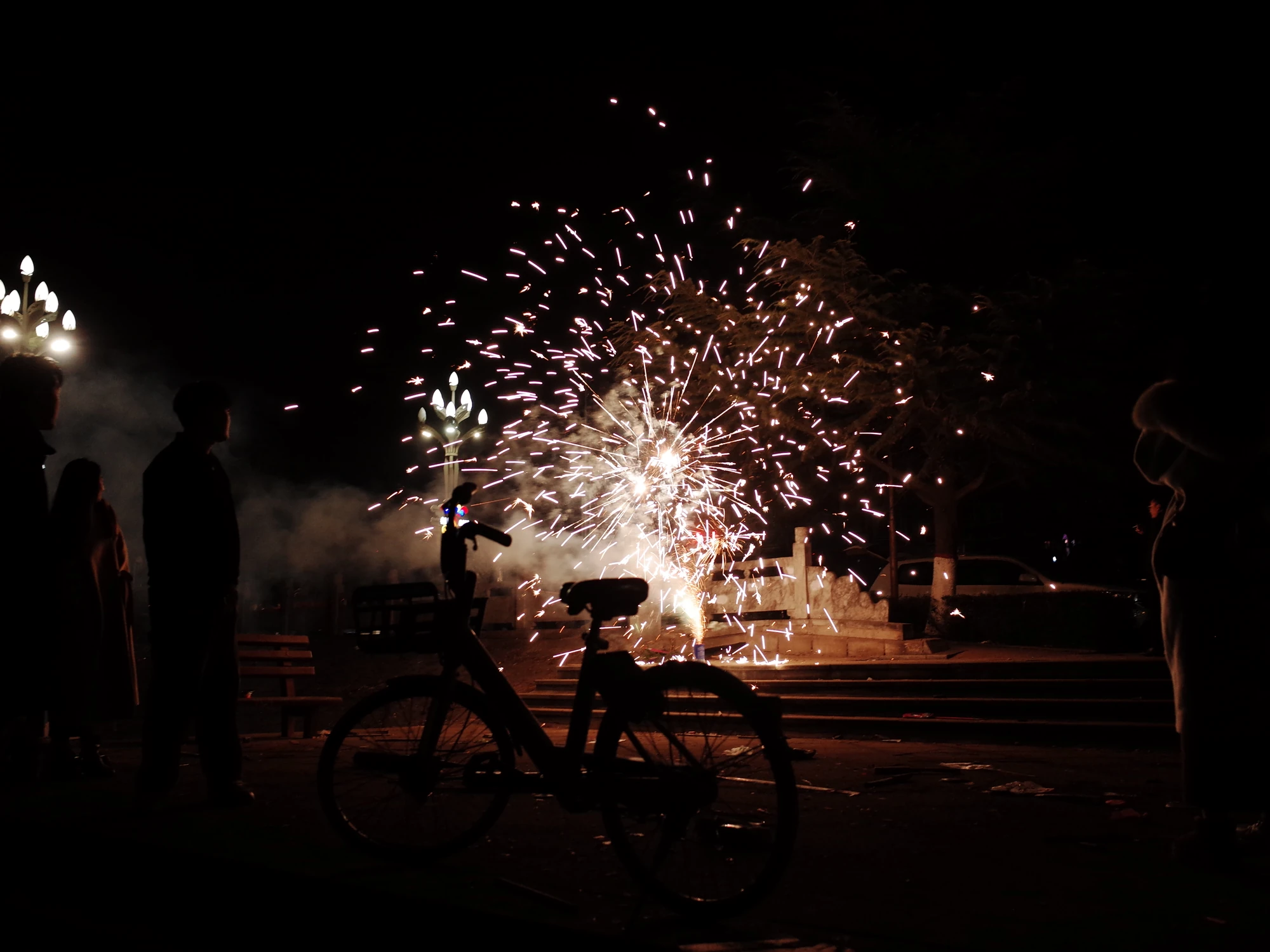 Fireworks and viewers at night
